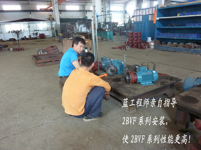 佛真工程師親自指導(dǎo)2BVF水環(huán)式真空泵的安裝，嚴(yán)格的安裝要求對(duì)水環(huán)式真空泵性能提高有著重要的作用